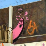 Ginnheim, rosaner totally crazy Love Spot Ghost_1024